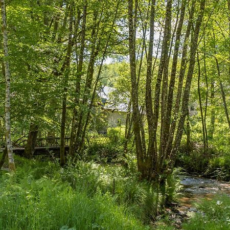 Gite Nature Le Moulin Vitrac-sur-Montane Exterior foto